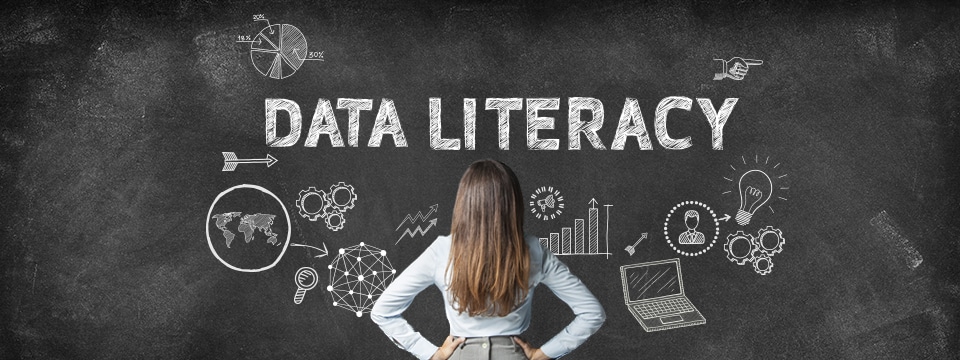 data literacy, data,qlik,qlik sense, qlikview, data analyse,